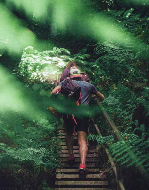 terre | Sportihome.com