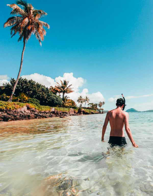 tropical | Sportihome.com