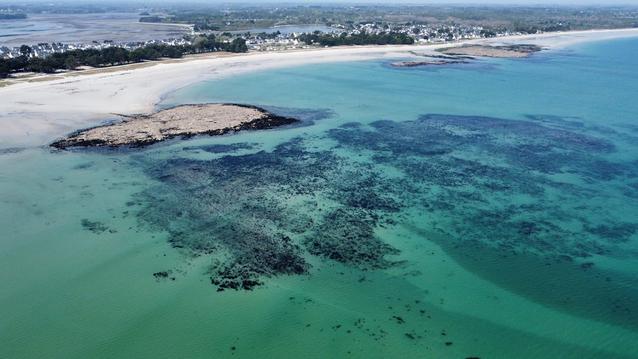 Superbe maison chaleureuse à 5mn de la mer